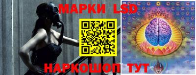 шишки Краснодар