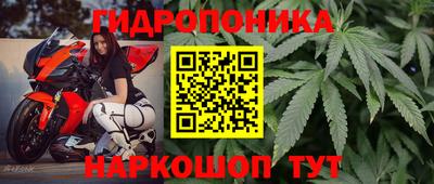 шишки Краснодар