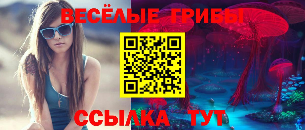 Галлюциногенные грибы Cubensis Кисловодск