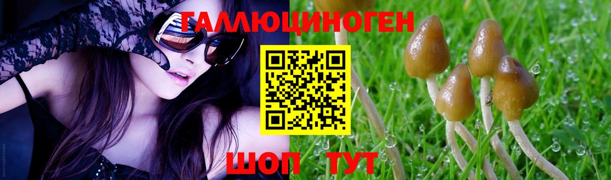 Псилоцибиновые грибы GOLDEN TEACHER  Галлюциногенные грибы прущие грибы  Кисловодск  Вход с VPN 